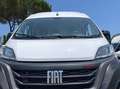 Fiat Ducato Ducato 290 35  LH2 2.2 mjt3 160cv Blanc - thumbnail 18