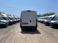 Fiat Ducato Ducato 290 35  LH2 2.2 mjt3 160cv Blanc - thumbnail 11