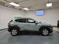 Hyundai KONA 1.0 t-gdi Business 2wd 100cv mt Verde - thumbnail 6