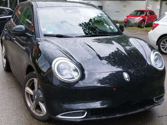 Imagine Ora Funky Cat Funky Cat300