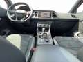 CUPRA Ateca 2.0 TSI AHK ACC 19" PANO SHZ eKLAPPE Rot - thumbnail 28
