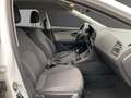 SEAT Leon Leon SporTourer ST 1.0 TSI Weiß - thumbnail 10