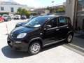 Fiat Panda MY25 - 1.0 FireFly Hybrid POP - thumbnail 10