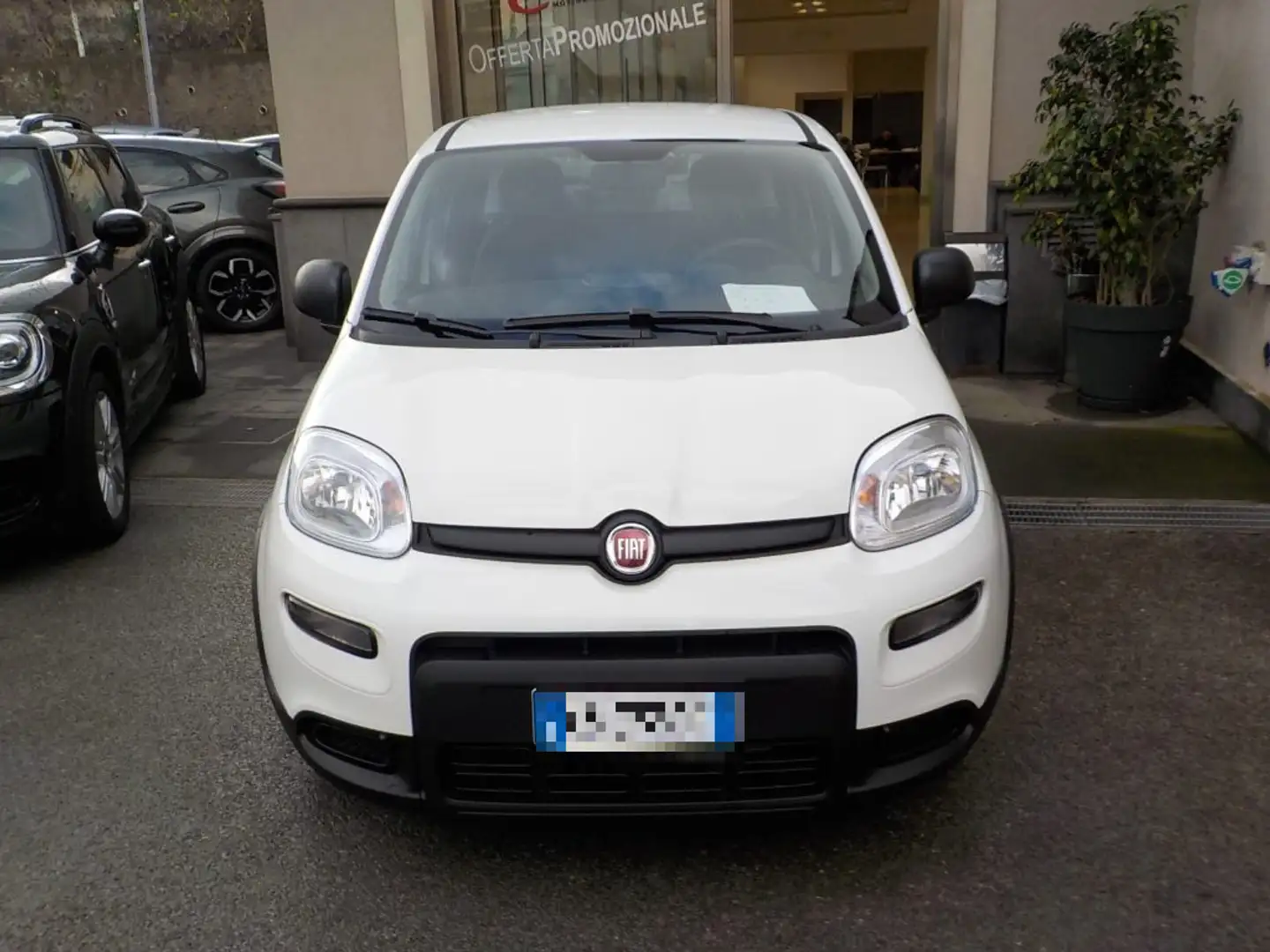 Fiat Panda MY25 - 1.0 FireFly Hybrid POP - 1
