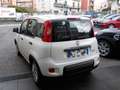 Fiat Panda MY25 - 1.0 FireFly Hybrid POP - thumbnail 12