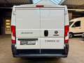 Fiat Ducato 2.3 JTD L1H1 30 120 3-SITZER GITTER 3,0t Weiß - thumbnail 7