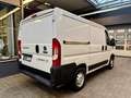 Fiat Ducato 2.3 JTD L1H1 30 120 3-SITZER GITTER 3,0t Weiß - thumbnail 10
