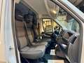 Fiat Ducato 2.3 JTD L1H1 30 120 3-SITZER GITTER 3,0t Weiß - thumbnail 16
