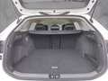 Volkswagen Passat Variant Business 1.5 eTSI DSG IQ.DRIVE KLIMA LED NAVI Weiß - thumbnail 13
