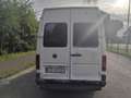 Volkswagen LT 35 TDI MITTELLANG L2H2 Білий - thumbnail 7