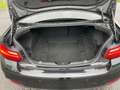 BMW 220 d Coupe M Sport Aut. Xenon Navi S-Dach Schwarz - thumbnail 20