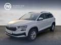 Skoda Karoq Ambition TDI DSG Weiß - thumbnail 1