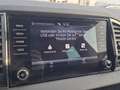 Skoda Karoq Ambition TDI DSG Weiß - thumbnail 16