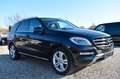 Mercedes-Benz ML 350 CDI BlueTec AHK GSD Intel.Light.Sys.Onlin Schwarz - thumbnail 5