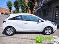 Opel Corsa 1.2 Coupé b-Color Weiß - thumbnail 11