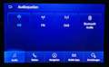 Ford Focus Focus Tur Active Vignale 1,5 EcoBlue 88KW*Automat. Schwarz - thumbnail 32