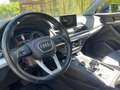 Audi Q5 Q5 II 2017 40 2.0 tdi Business quattro s-tronic - thumbnail 5