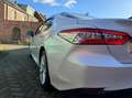 Toyota Camry Camry 2.5 Hybrid e-CVT Executive Белый - thumbnail 6