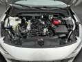 Ford Focus Turnier 1.0 EcoBoost TITANIUM NAVI*LED Plateado - thumbnail 8