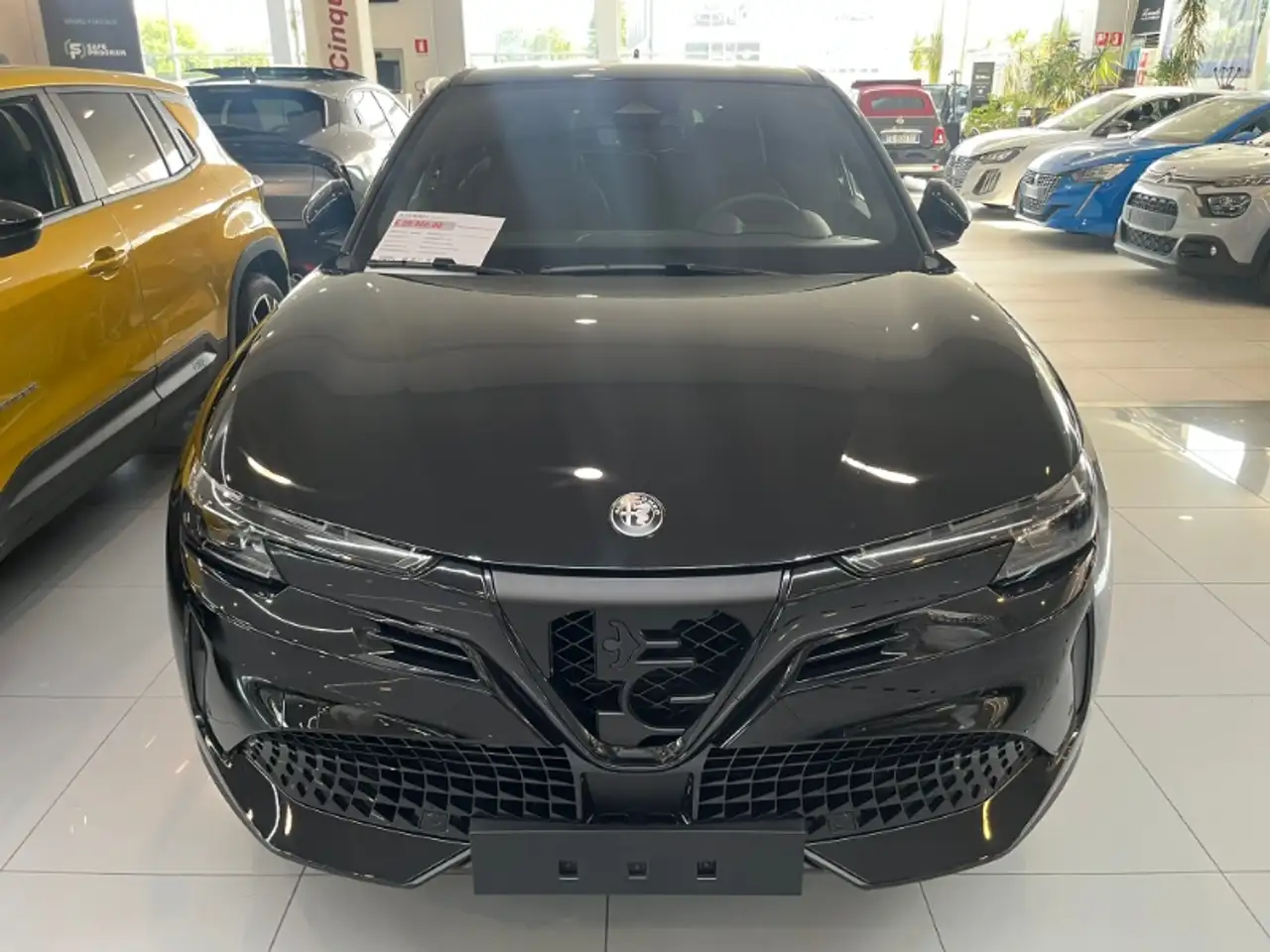 Alfa Romeo Junior 2026