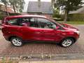 Ford Kuga Kuga 1.5 EcoBoost 2x4 Titanium Rouge - thumbnail 5