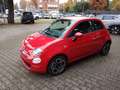 Fiat 500 1.0 hybrid Cult 70cv Rosso - thumbnail 3