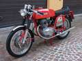 MV Agusta 350 Sport Elettronica Rood - thumbnail 29