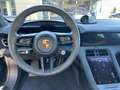 Porsche Taycan GTS Gris - thumbnail 21