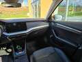 Skoda Octavia Style iV 1,4Tsi DSG PLUG-IN-HYBRID Grau - thumbnail 12