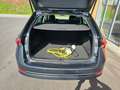 Skoda Octavia Style iV 1,4Tsi DSG PLUG-IN-HYBRID Grau - thumbnail 10