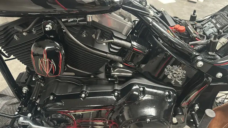 Harley-Davidson Cross Bones - foto 4