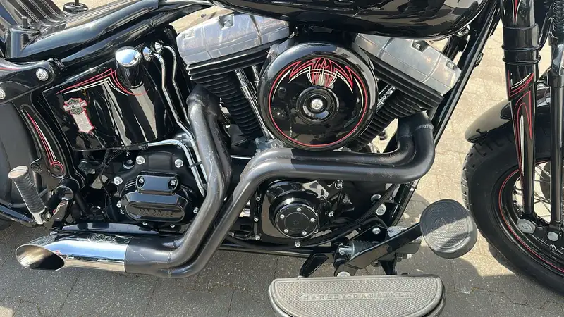 Harley-Davidson Cross Bones - foto 3