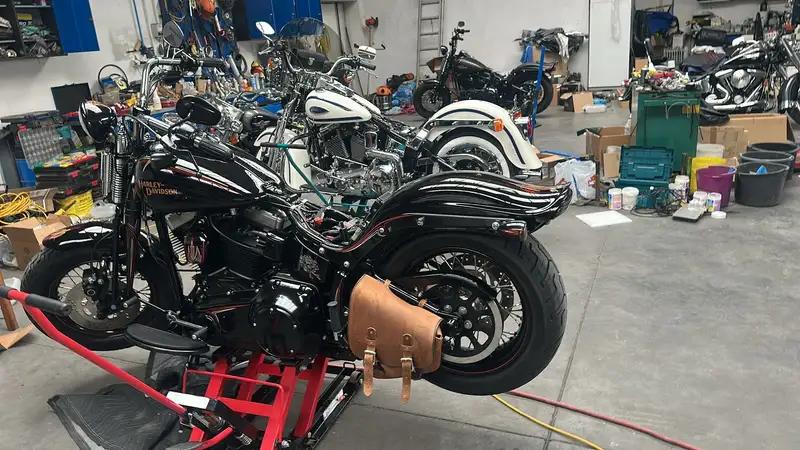 Harley-Davidson Cross Bones - foto 5