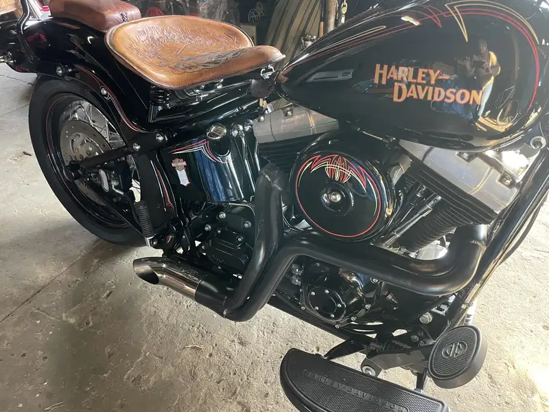 Harley-Davidson Cross Bones - foto 7
