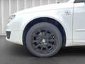 SEAT Exeo 1.8l TSI*Klima*ZV*Alufelgen*Service NEU** - thumbnail 9