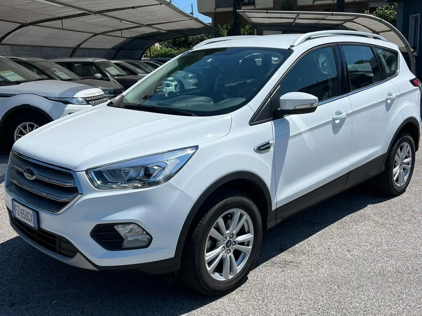 Ford Kuga Kuga 1.5 benzina - 19.200 km!!! Bianco - 1