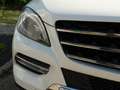 Mercedes-Benz ML 350 ML 350 4MATIC (BlueEFFICIENCY) 7G-TRONIC Weiß - thumbnail 5