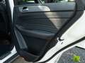 Mercedes-Benz ML 350 ML 350 4MATIC (BlueEFFICIENCY) 7G-TRONIC Weiß - thumbnail 13