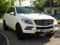 Mercedes-Benz ML 350 ML 350 4MATIC (BlueEFFICIENCY) 7G-TRONIC Weiß - thumbnail 33