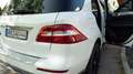 Mercedes-Benz ML 350 ML 350 4MATIC (BlueEFFICIENCY) 7G-TRONIC Weiß - thumbnail 11