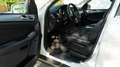 Mercedes-Benz ML 350 ML 350 4MATIC (BlueEFFICIENCY) 7G-TRONIC Weiß - thumbnail 23