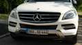 Mercedes-Benz ML 350 ML 350 4MATIC (BlueEFFICIENCY) 7G-TRONIC Weiß - thumbnail 3