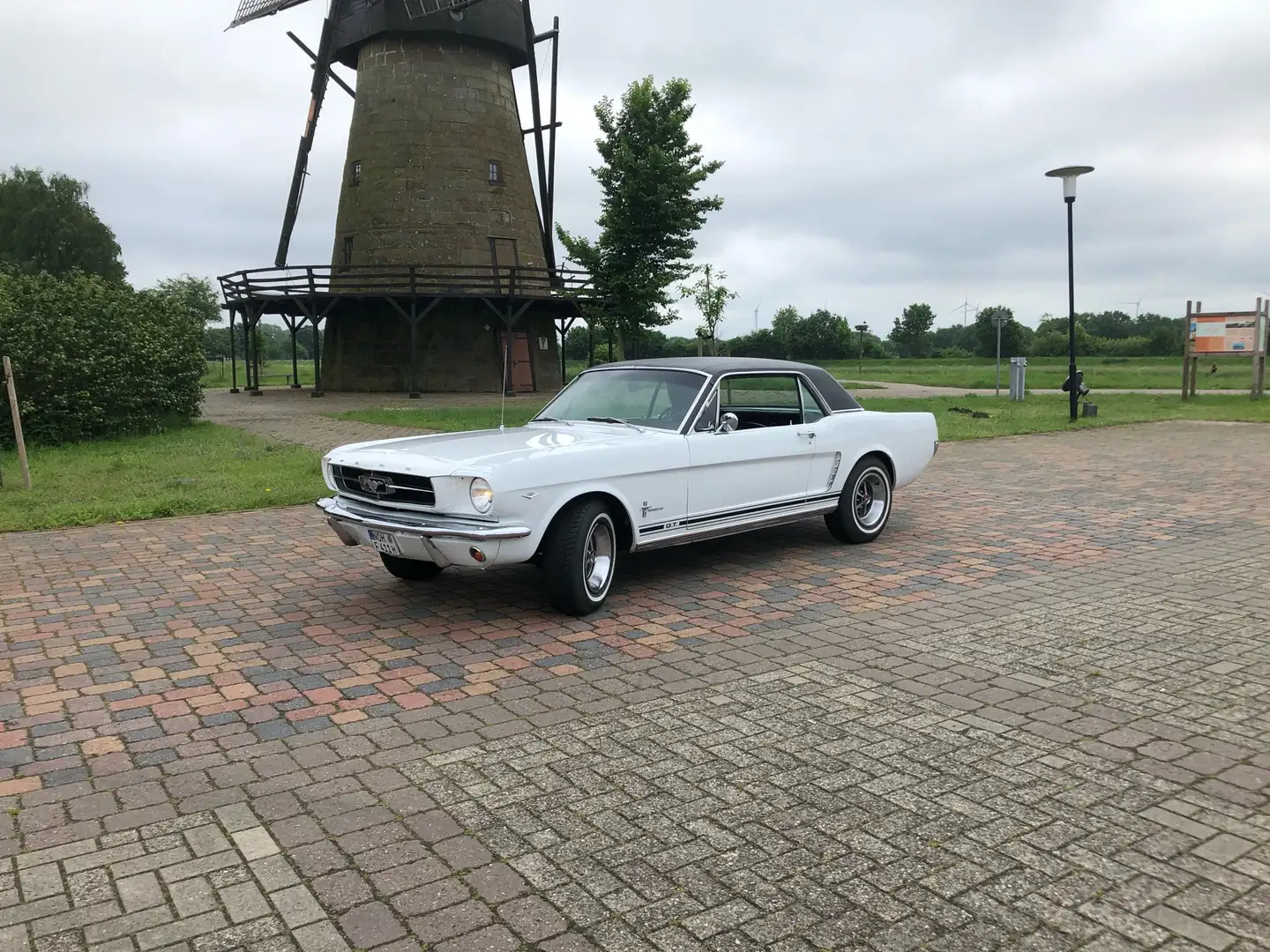 Ford Mustang Weiß - 1