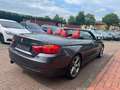 BMW 428 i Cabrio Sport Line*TÜV/AU NEU Grey - thumbnail 5