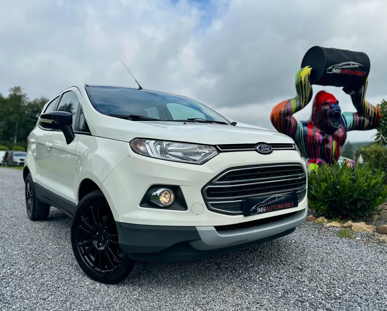 Ford EcoSport Ecosport 1.0 EcoBoost 4x2 Trend Marchand // Export Wit - 1