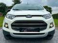 Ford EcoSport Ecosport 1.0 EcoBoost 4x2 Trend Marchand // Export Wit - thumbnail 2