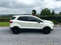 Ford EcoSport Ecosport 1.0 EcoBoost 4x2 Trend Marchand // Export Wit - thumbnail 9