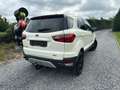 Ford EcoSport Ecosport 1.0 EcoBoost 4x2 Trend Marchand // Export Wit - thumbnail 8