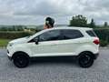 Ford EcoSport Ecosport 1.0 EcoBoost 4x2 Trend Marchand // Export Wit - thumbnail 10