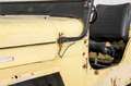 Oldtimer Willys CJ3 B M38A1 Amarillo - thumbnail 40